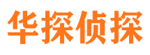 沧县市侦探公司